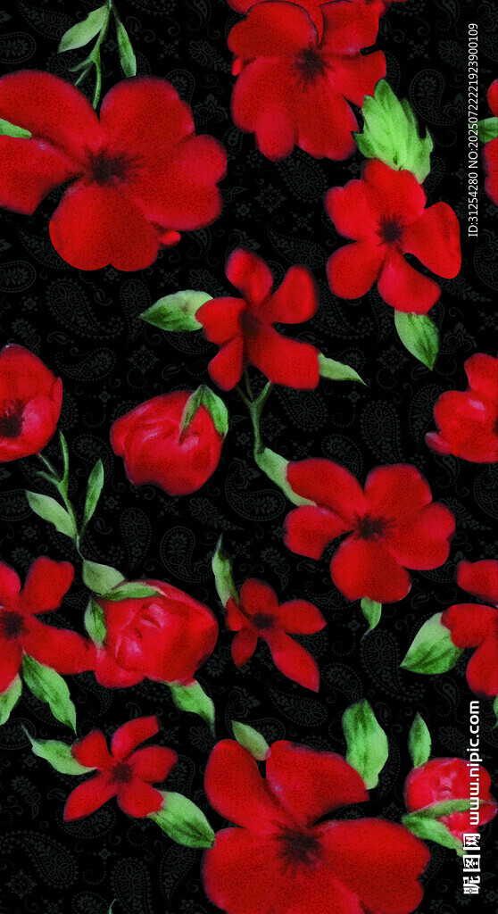 红色玫瑰花