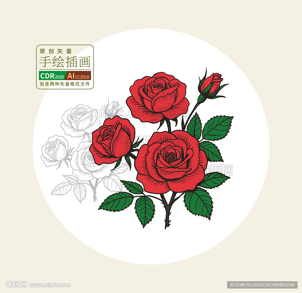 手绘矢量玫瑰花图案