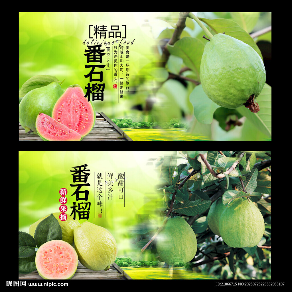 番石榴