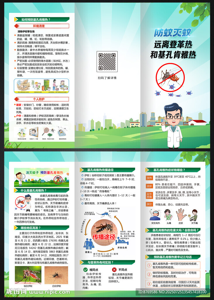基孔肯雅热三折页