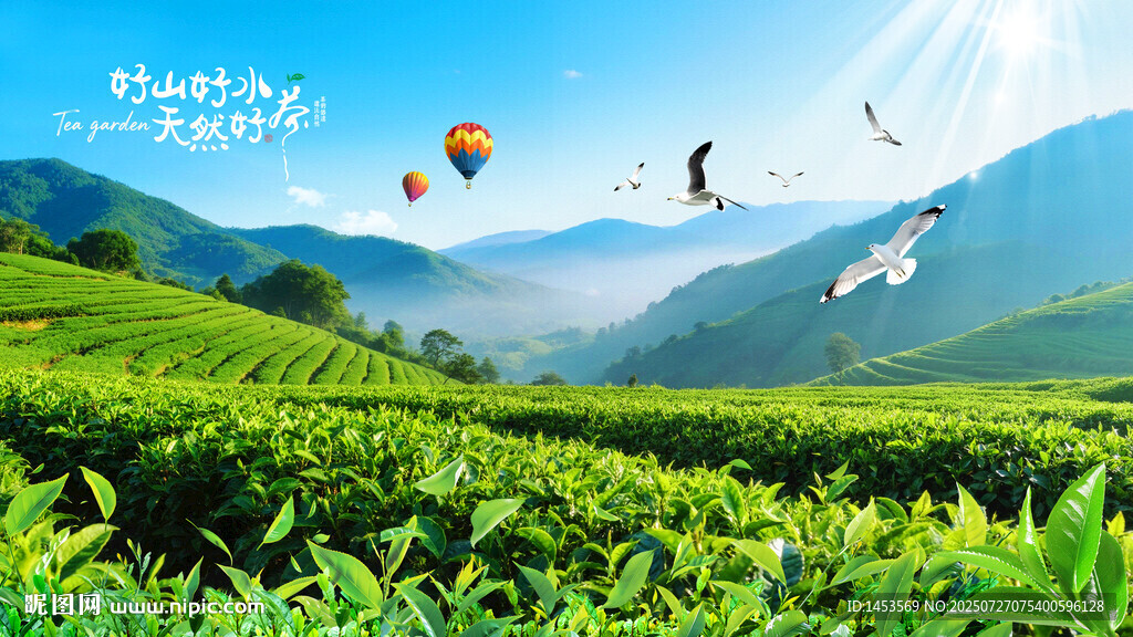 茶园