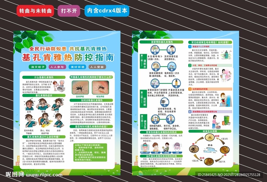 基孔肯雅热宣传单