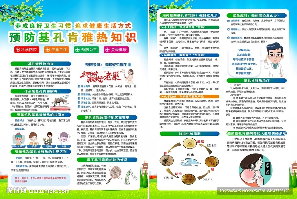 基孔肯雅热宣传单