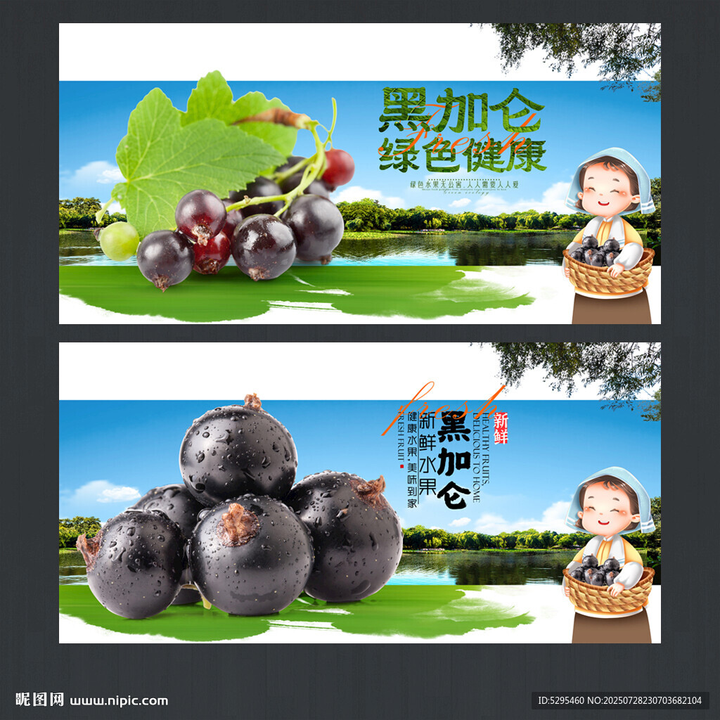 黑加仑