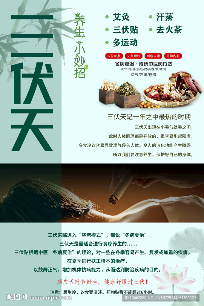 三伏天中医养生知识海报