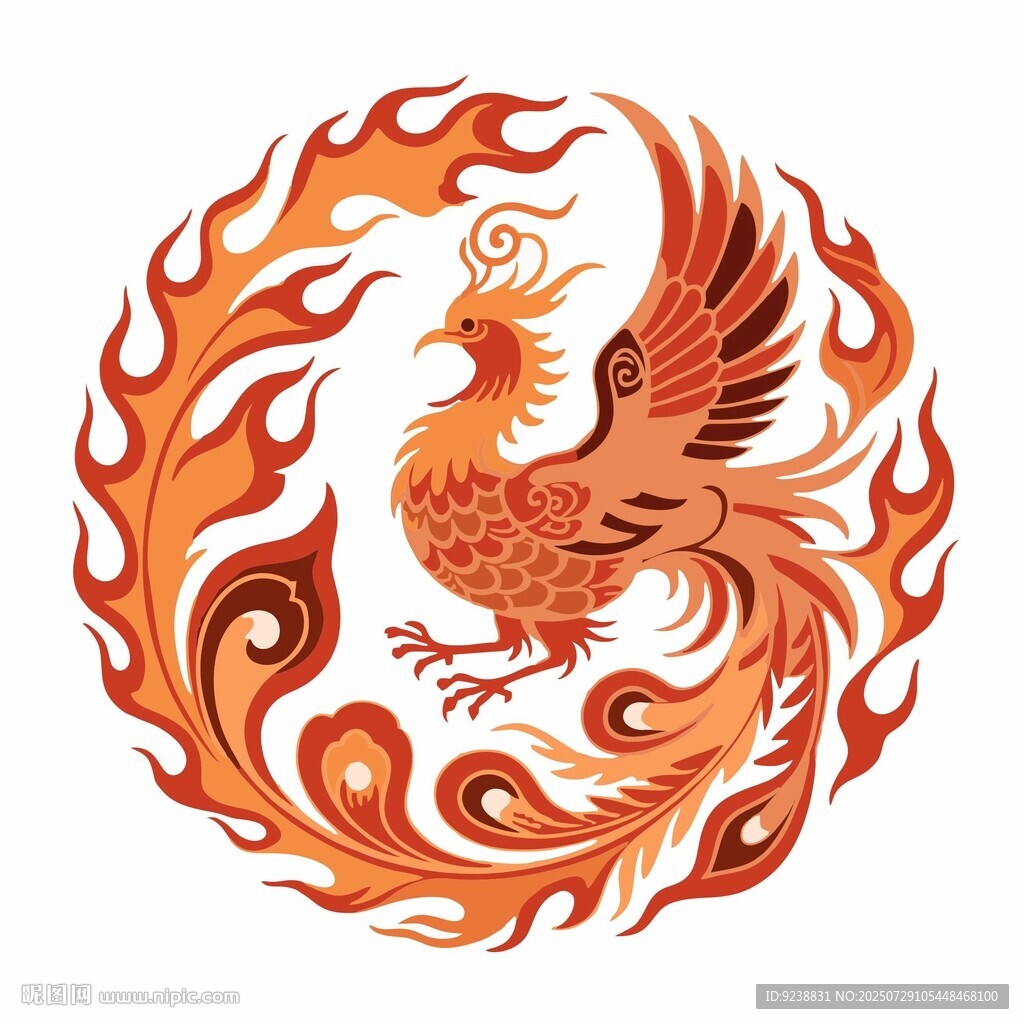 凤凰插画
