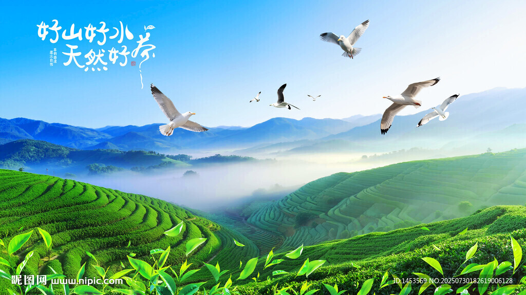 茶山
