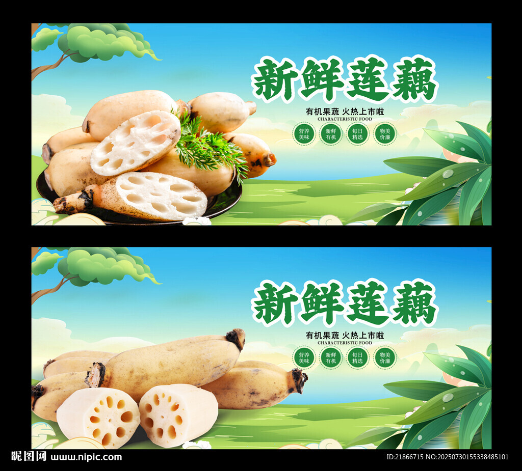 莲藕