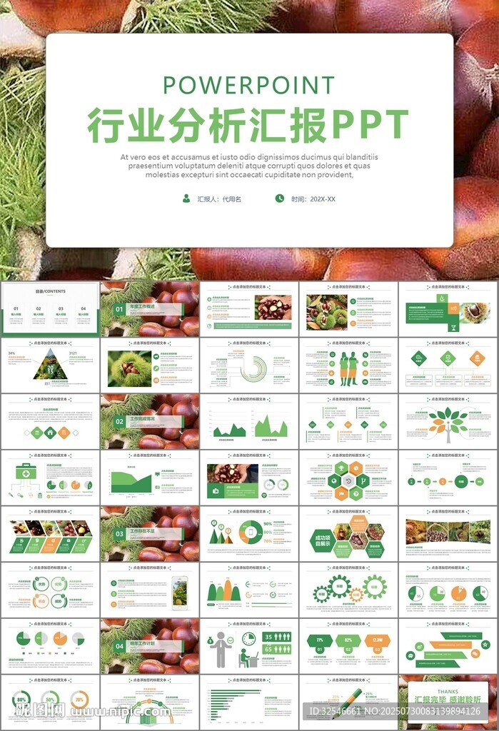 营养美食美味板栗种植宣传PPT