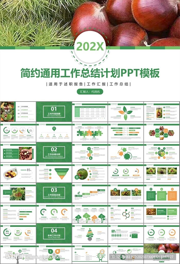营养美食美味板栗种植宣传PPT