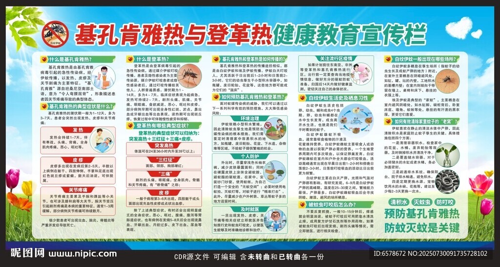 基孔肯雅热登革热宣传栏