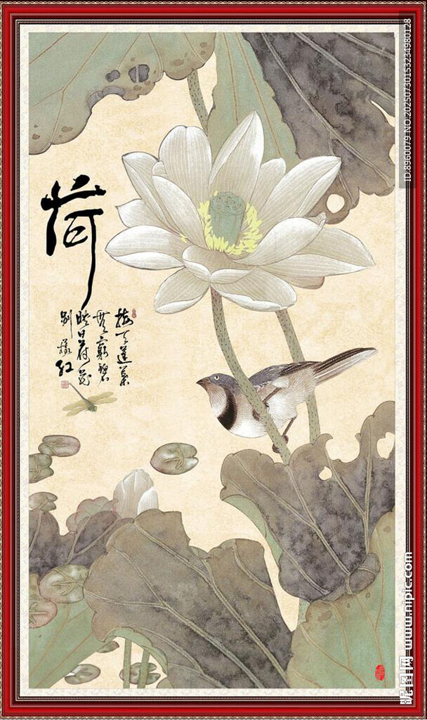 荷花