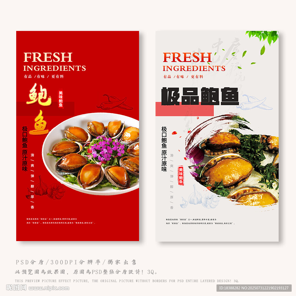鲍鱼