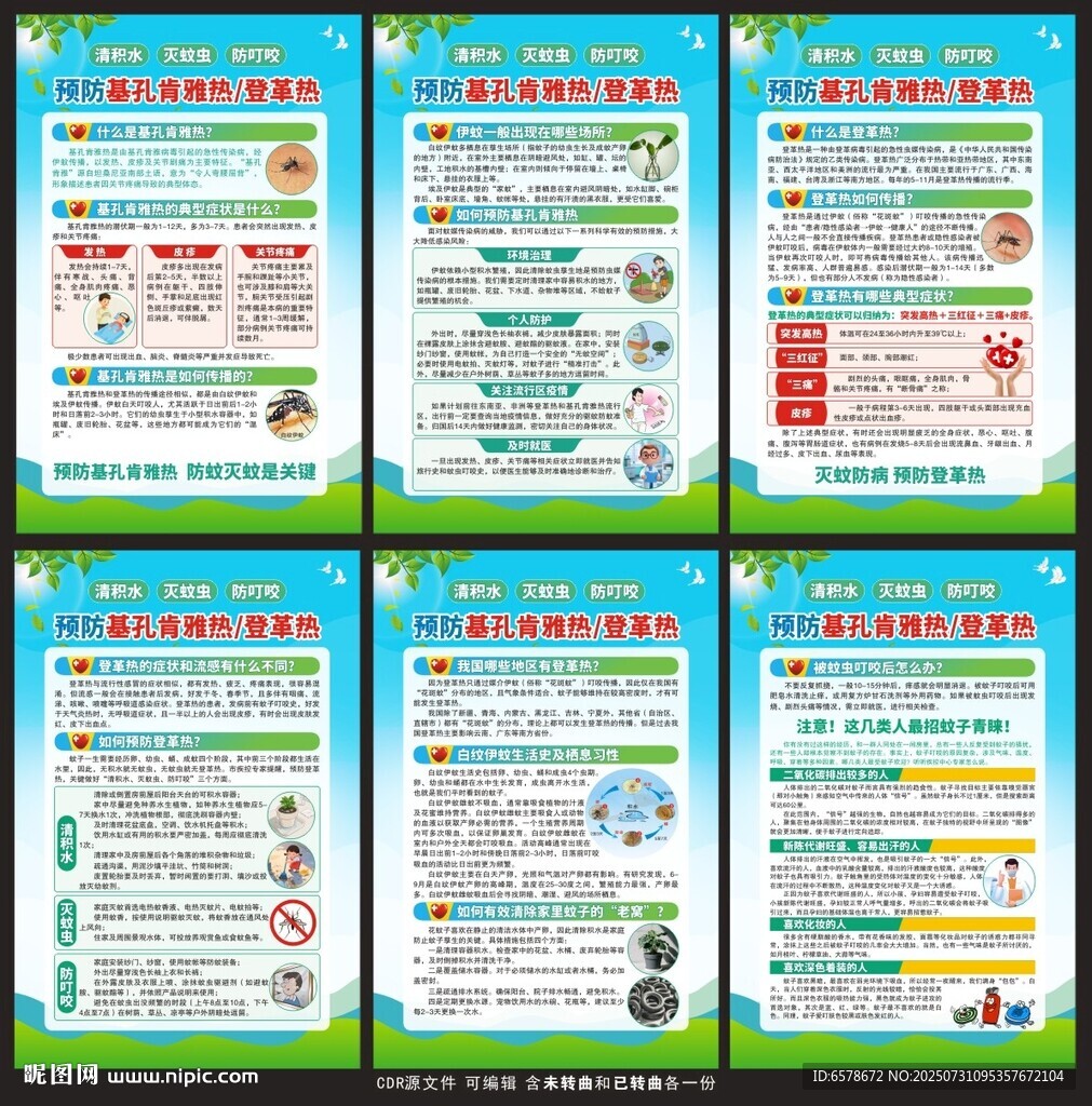 基孔肯雅热登革热