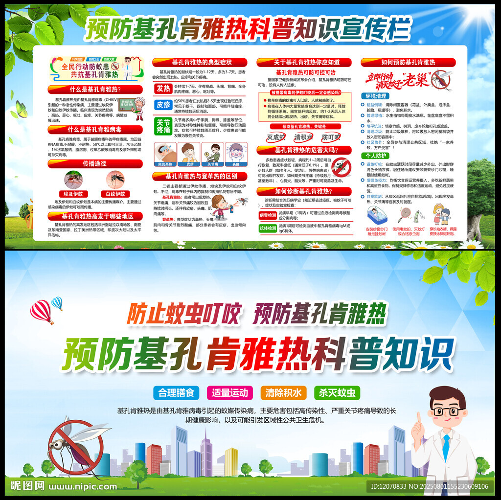 预防基孔肯雅热知识
