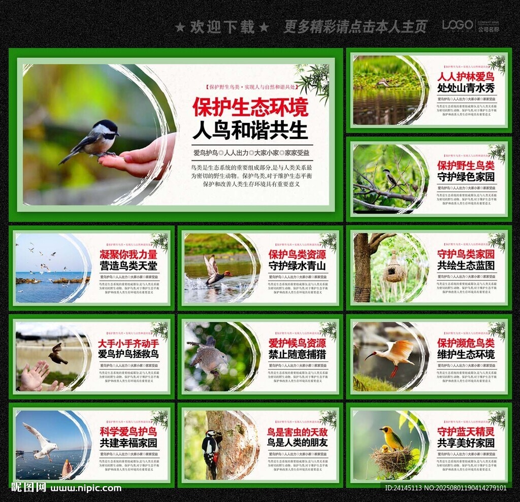 保护鸟类