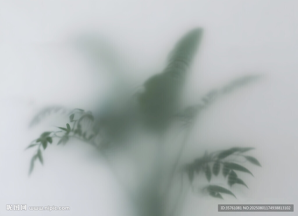 雾气磨砂膜效果绿植贴图