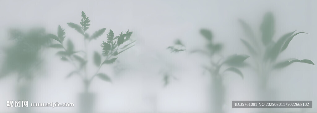 雾气磨砂膜效果绿植贴图