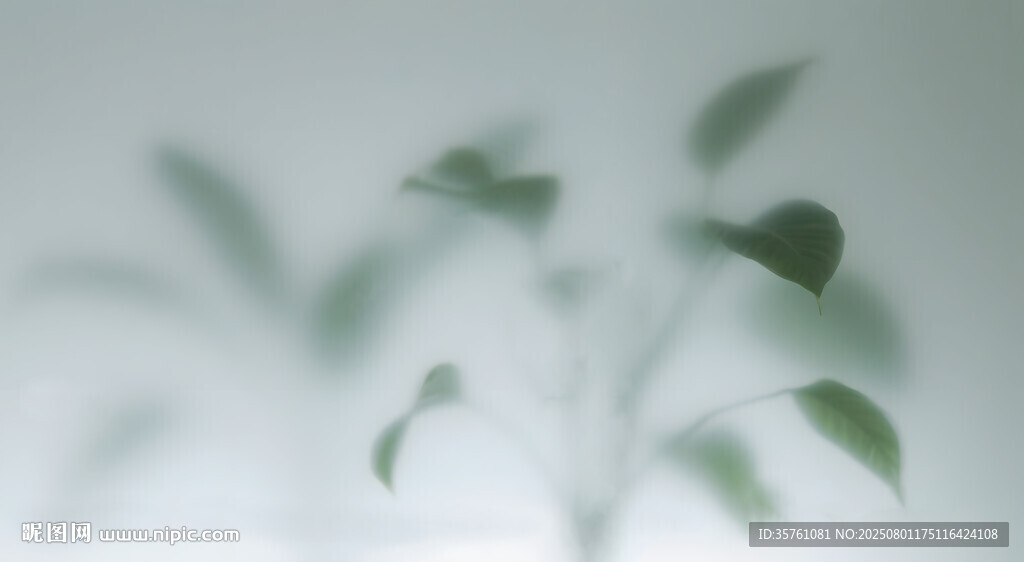 雾气磨砂膜效果绿植贴图