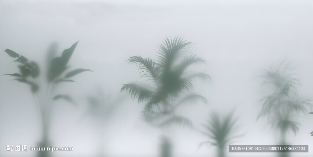 雾气磨砂膜效果绿植贴图