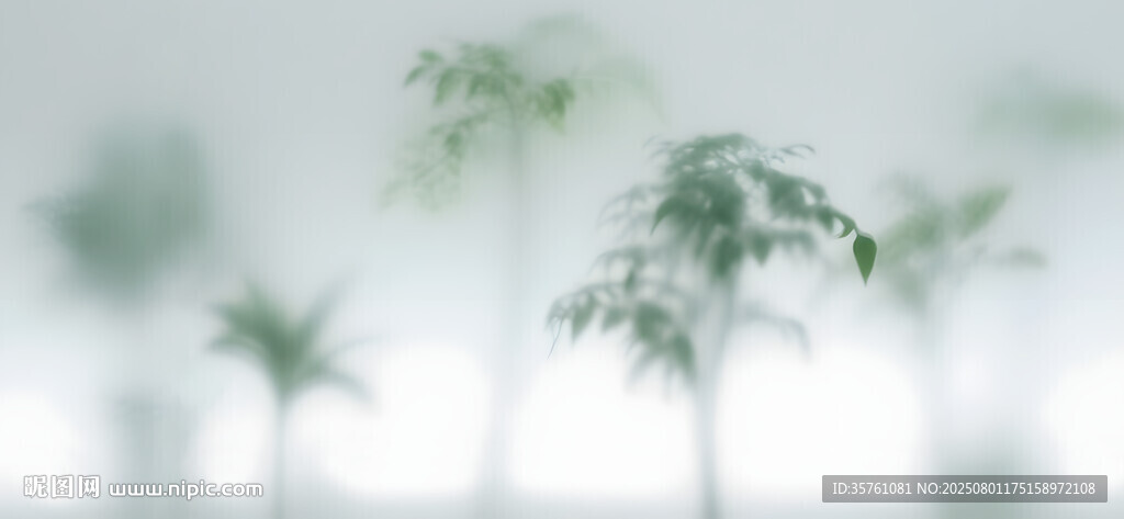 雾气磨砂膜效果绿植贴图