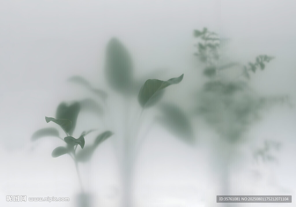 雾气磨砂膜效果绿植贴图