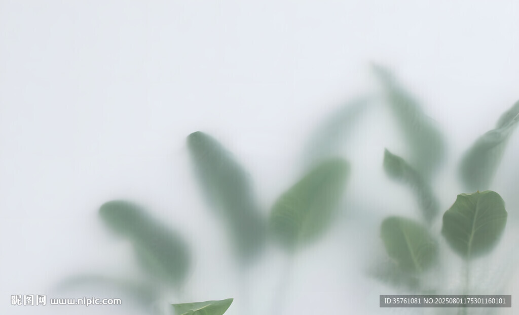 雾气磨砂膜效果绿植贴图