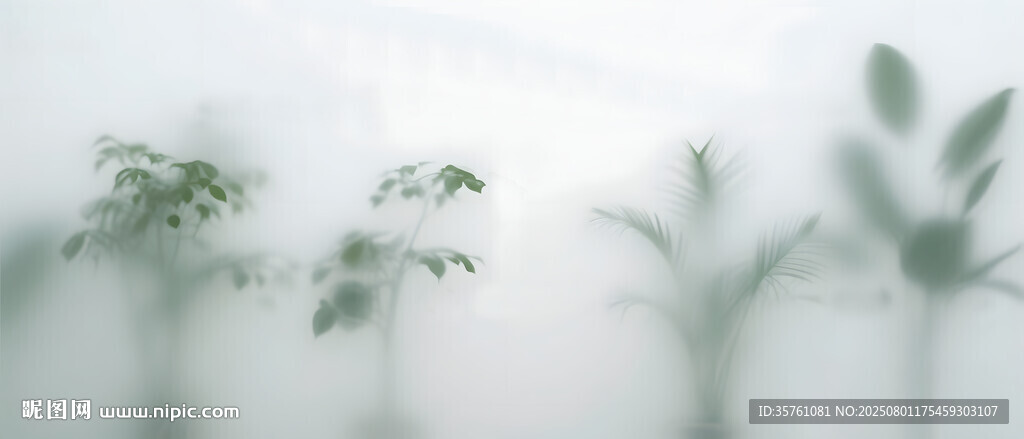 雾气磨砂膜效果绿植贴图