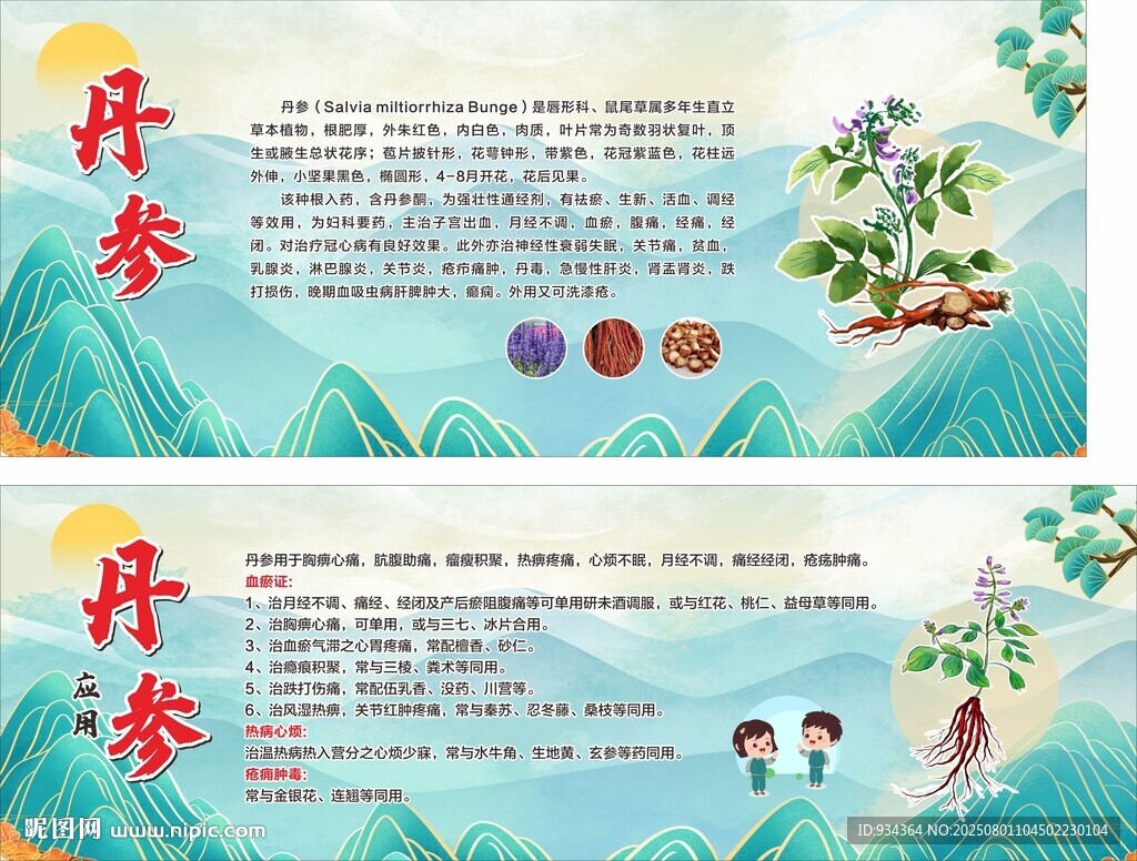 丹参 喷布