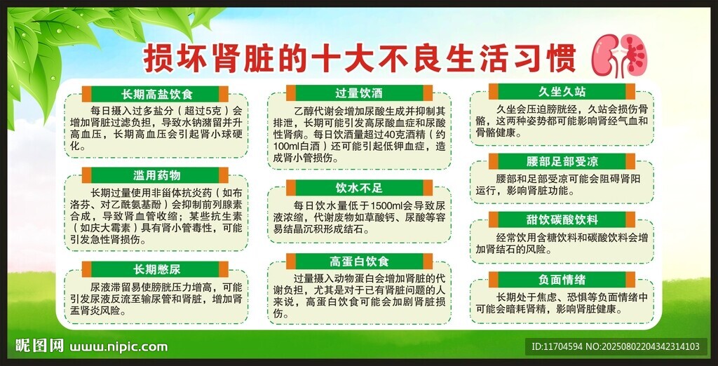 世界肾脏日宣传栏