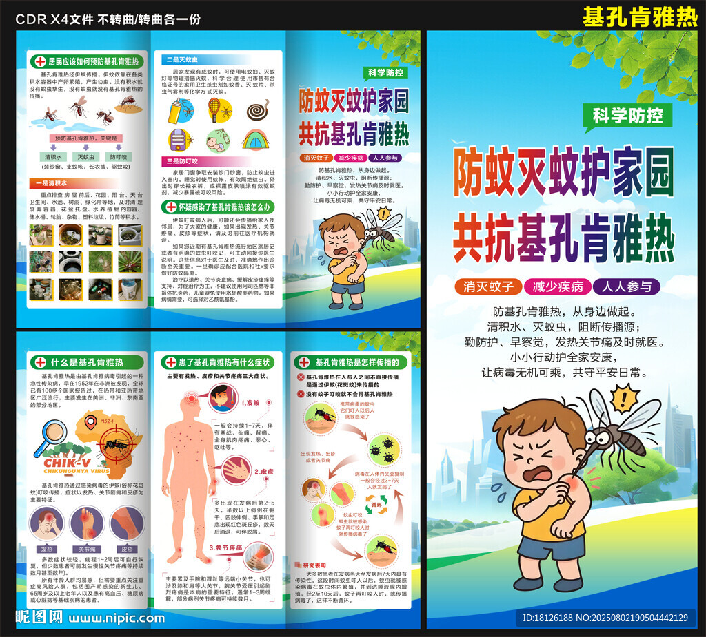 基孔肯雅热三折页