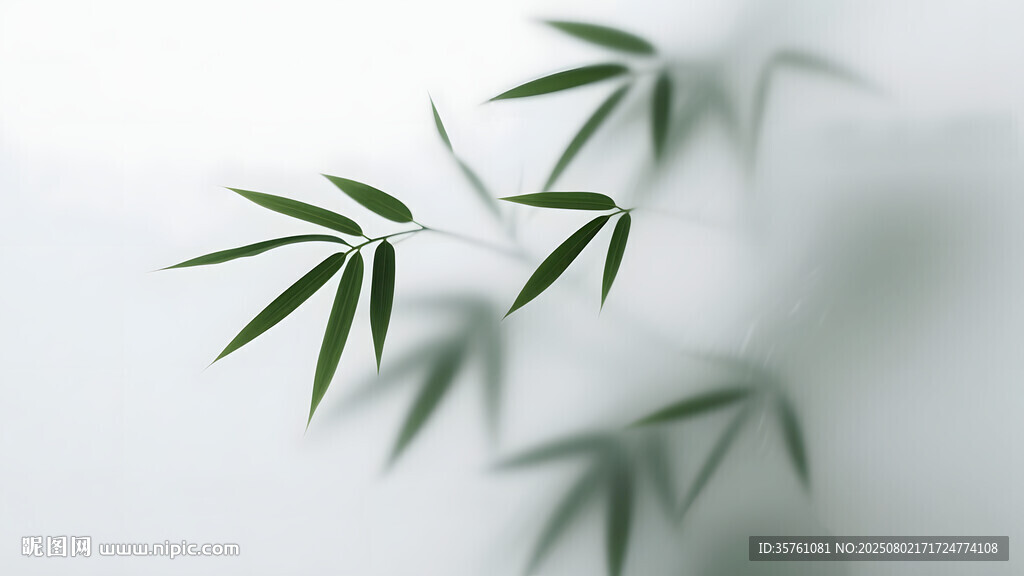 雾气磨砂膜效果绿植贴图