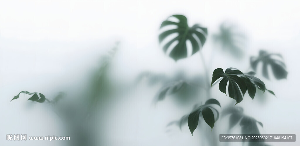 雾气磨砂膜效果绿植贴图