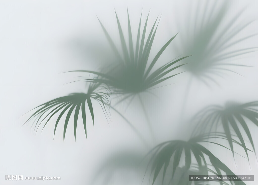 雾气磨砂膜效果绿植贴图