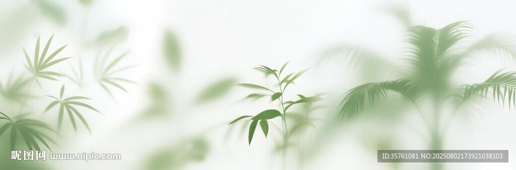 雾气磨砂膜效果绿植贴图