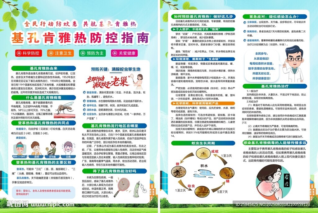 基孔肯雅热宣传单