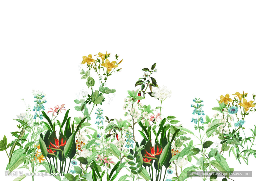 定位大花