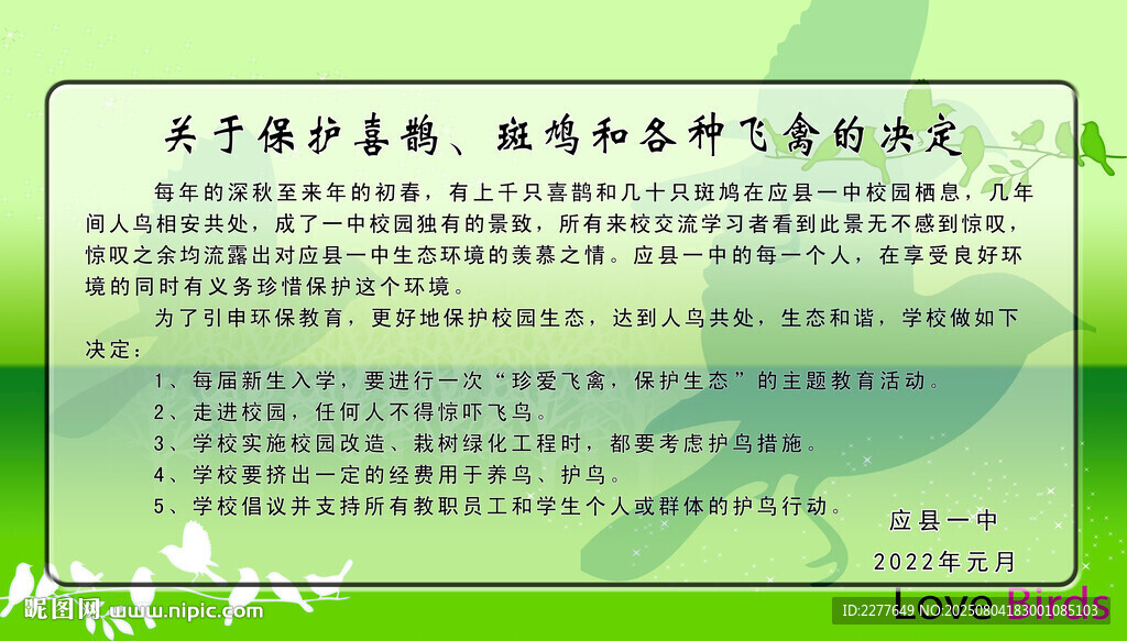保护鸟类