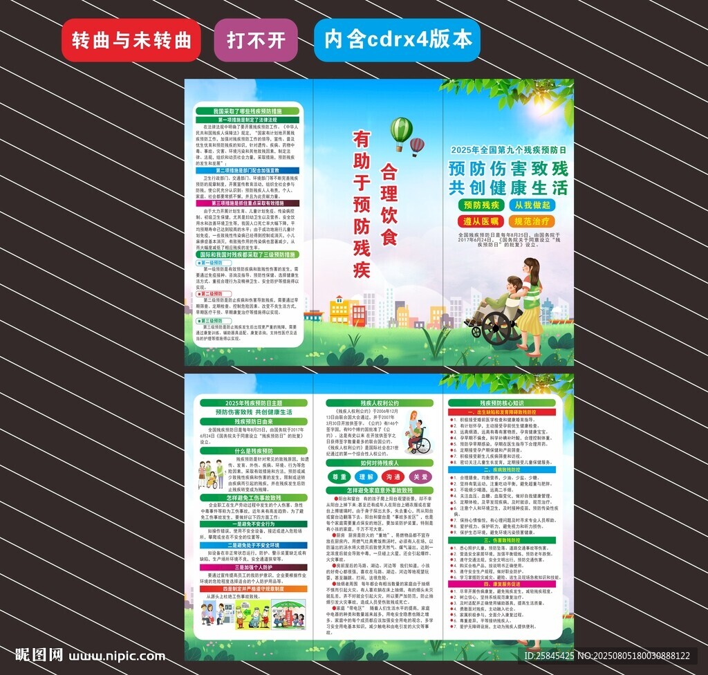 2025年残疾预防日折页