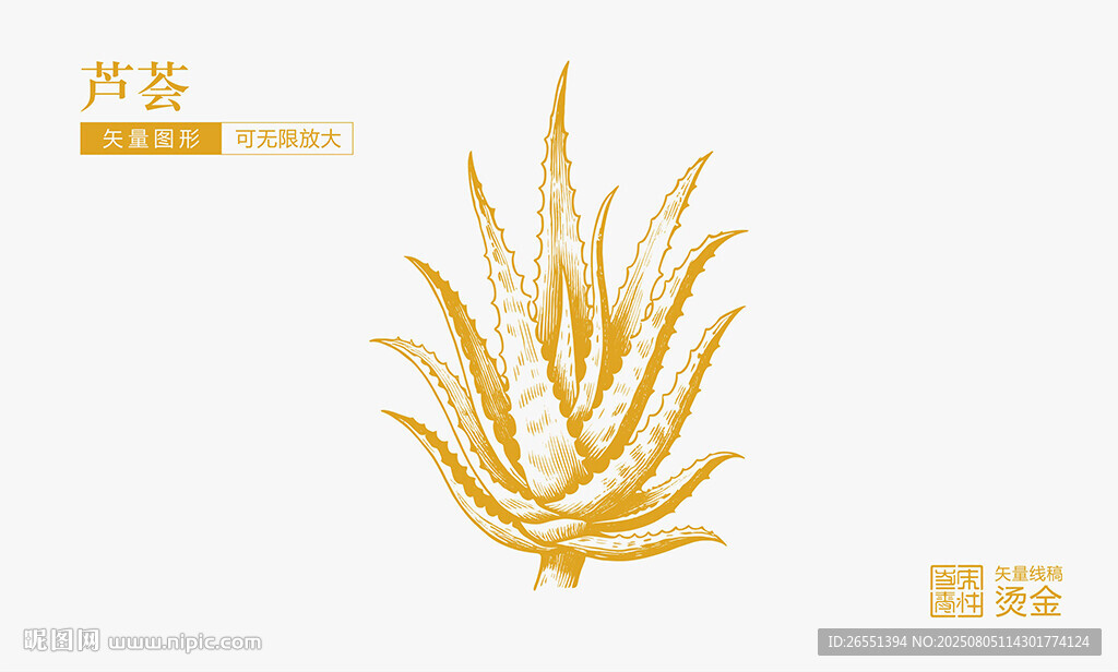 芦荟
