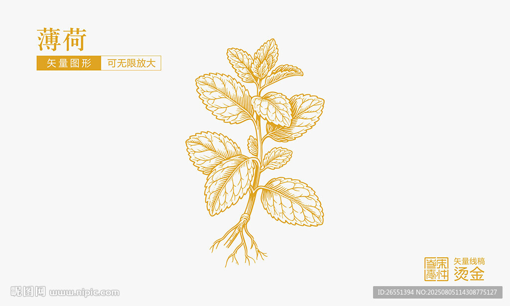 薄荷