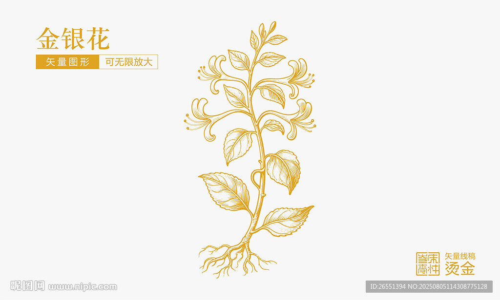 金银花
