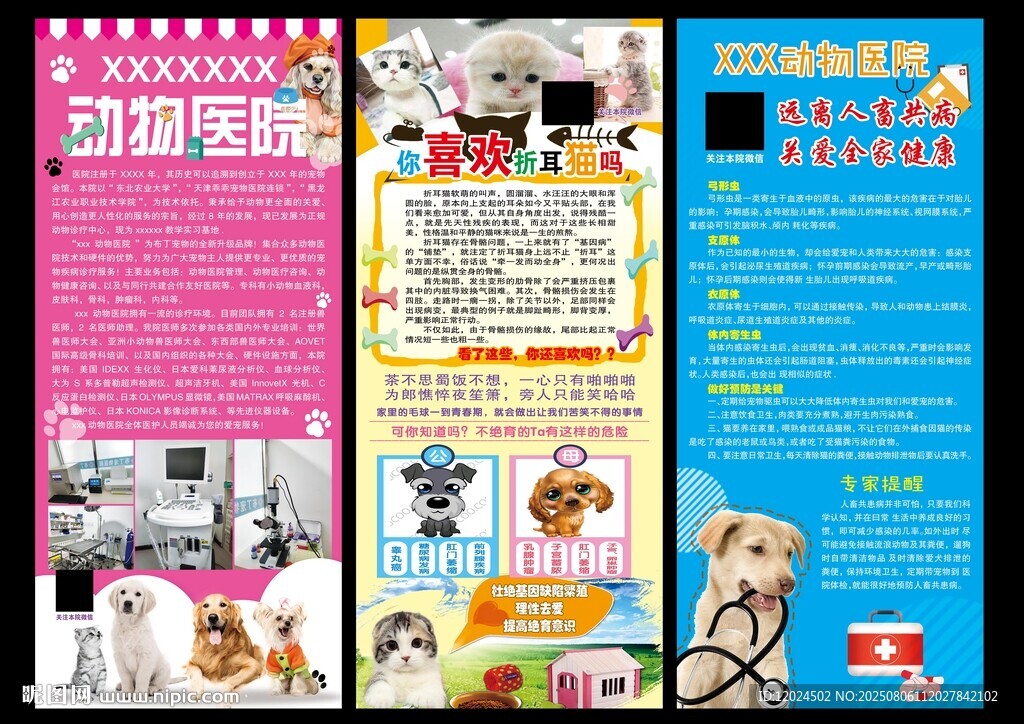 宠物医院简介 海报 宣传页展示