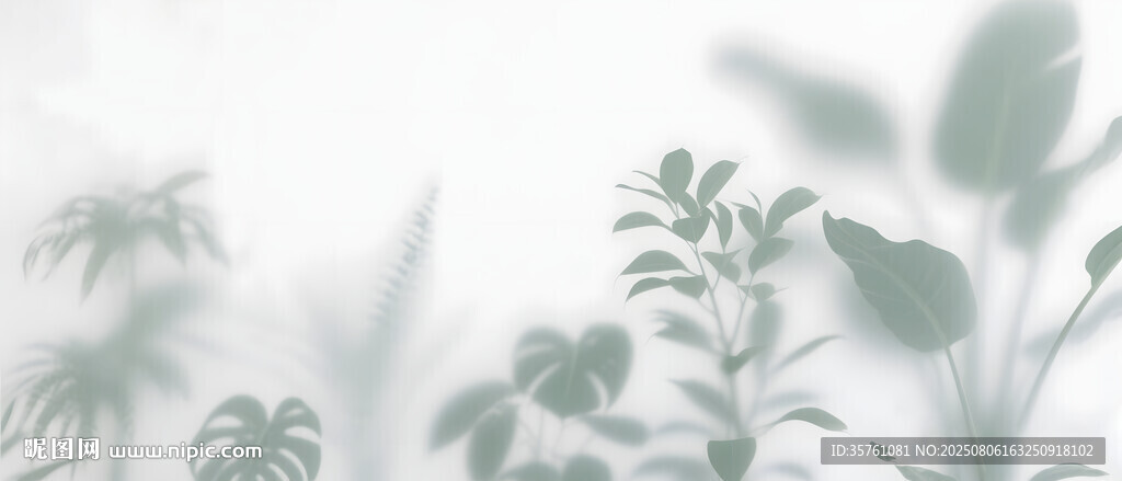 雾气磨砂膜效果绿植贴图