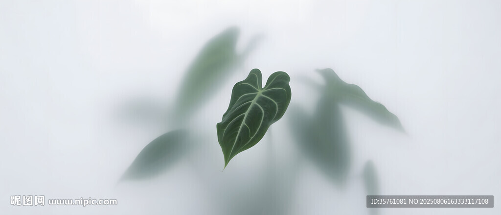 雾气磨砂膜效果绿植贴图
