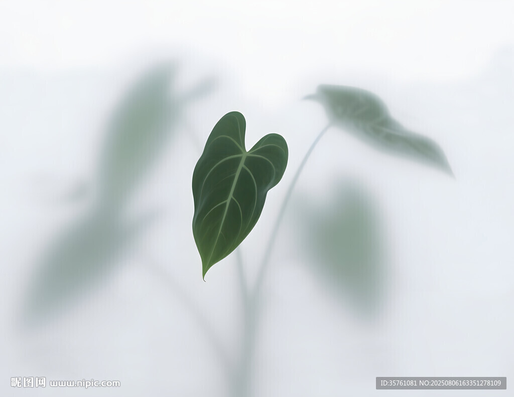雾气磨砂膜效果绿植贴图