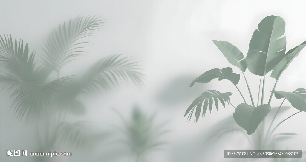 雾气磨砂膜效果绿植贴图