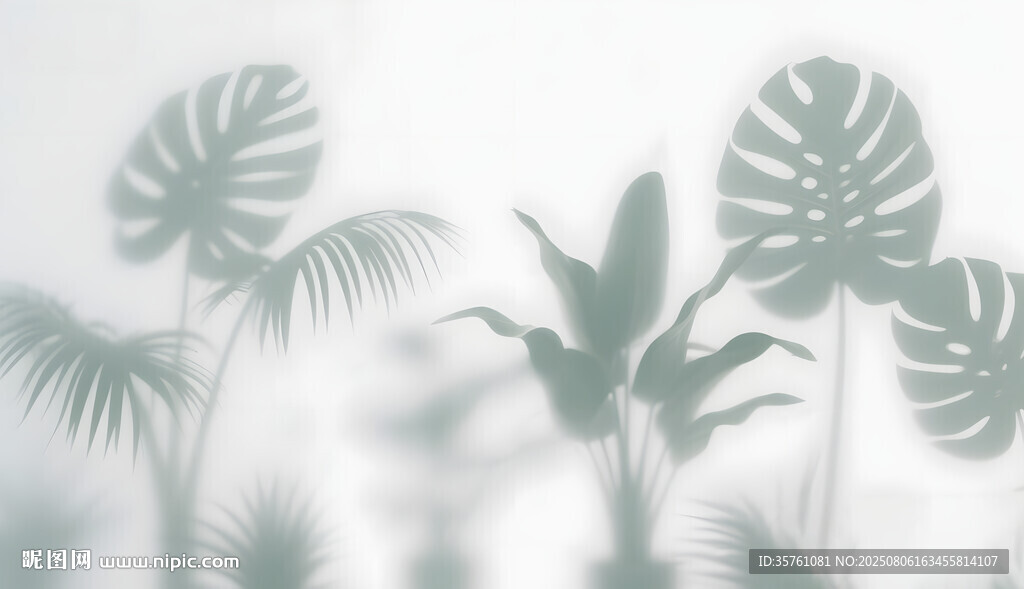 雾气磨砂膜效果绿植贴图