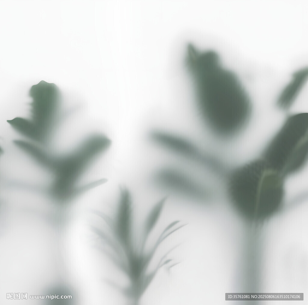 雾气磨砂膜效果绿植贴图