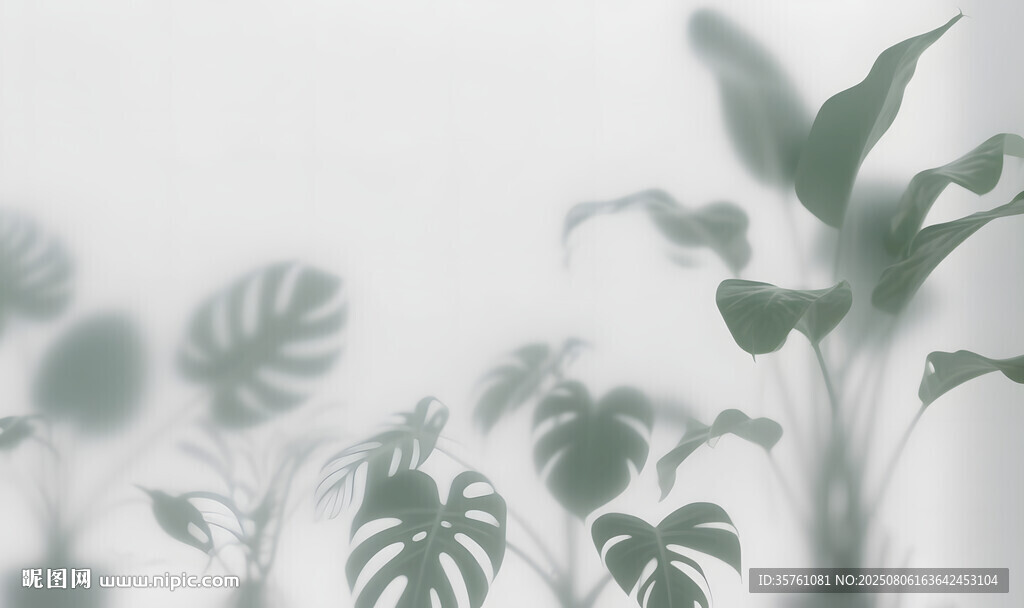雾气磨砂膜效果绿植贴图